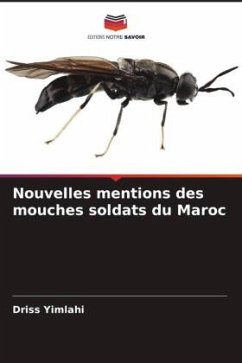 Nouvelles mentions des mouches soldats du Maroc - Yimlahi, Driss