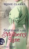 Sturmzeit in der Mulberry Lane (eBook, ePUB)