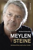Meylensteine (eBook, ePUB)