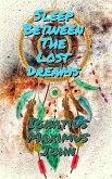 Sleep Between The Lost Dreams (eBook, ePUB)