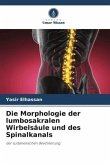 Die Morphologie der lumbosakralen Wirbelsäule und des Spinalkanals