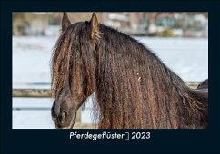 Pferdegeflüster 2023 Fotokalender DIN A5 - Tobias Becker