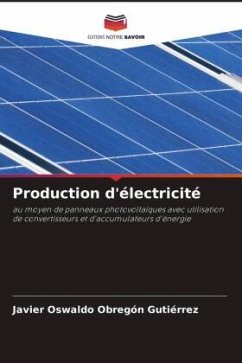 Production d'électricité - Obregón Gutiérrez, Javier Oswaldo