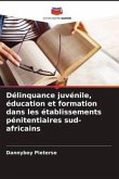 Délinquance juvénile, éducation et formation dans les établissements pénitentiaires sud-africains