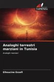 Analoghi terrestri marziani in Tunisia