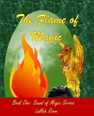 The Flame of Magic: Something is Wrong With Magic