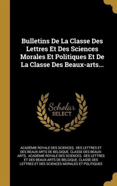 Bulletins De La Classe Des Lettres Et Des Sciences Morales Et Politiques Et De La Classe Des Beaux-arts...