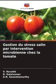 Gestion du stress salin par intervention microbienne chez la tomate