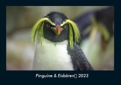 Pinguine & Eisbären 2023 Fotokalender DIN A4 - Tobias Becker