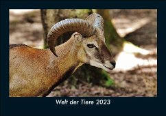 Welt der Tiere 2023 Fotokalender DIN A5 - Tobias Becker