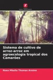 Sistema de cultivo de arroz-arroz em agroecologia tropical dos Camarões