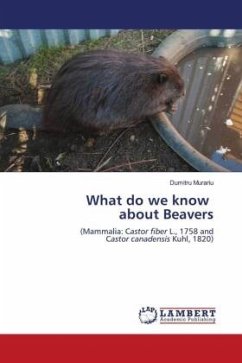 What do we know about Beavers