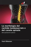 La morfologia del rachide lombosacrale e del canale spinale