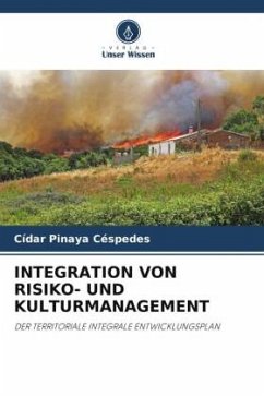 INTEGRATION VON RISIKO- UND KULTURMANAGEMENT - Pinaya Céspedes, Cídar