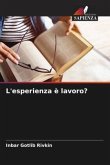 L'esperienza è lavoro?