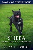 Sheba - From Hell to Happiness (eBook, ePUB)