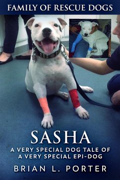 Sasha (eBook, ePUB) - L. Porter, Brian