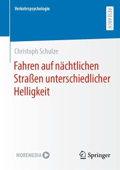 Fahren auf nächtlichen Straßen unterschiedlicher Helligkeit (eBook, PDF) - Schulze, Christoph