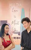 Love To Meet You (eBook, ePUB)