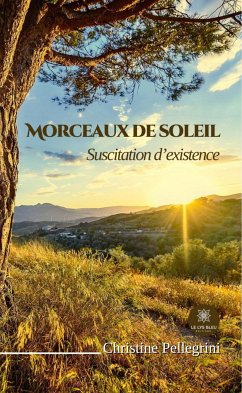 Morceaux de soleil (eBook, ePUB) - Pellegrini, Christine