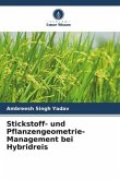 Stickstoff- und Pflanzengeometrie-Management bei Hybridreis