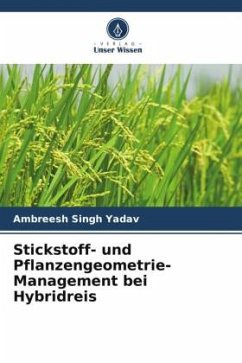 Stickstoff- und Pflanzengeometrie-Management bei Hybridreis - Yadav, Ambreesh Singh