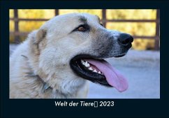 Welt der Tiere 2023 Fotokalender DIN A5 - Tobias Becker