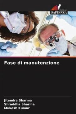 Cover Fase di manutenzione