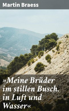 »Meine Brüder im stillen Busch, in Luft und Wasser« (eBook, ePUB) - Braess, Martin
