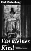 Ein kleines Kind (eBook, ePUB)