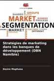 Stratégies de marketing dans les banques de développement (DBN Namibie)