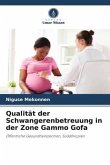 Qualität der Schwangerenbetreuung in der Zone Gammo Gofa