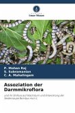 Assoziation der Darmmikroflora