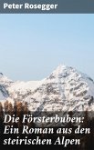 Die Försterbuben: Ein Roman aus den steirischen Alpen (eBook, ePUB)