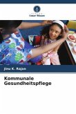 Kommunale Gesundheitspflege