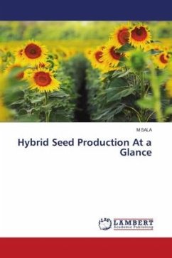 Hybrid Seed Production At a Glance