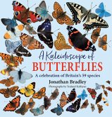 A Kaleidoscope of Butterflies (eBook, ePUB)