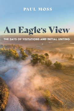 An Eagle's View (eBook, ePUB) - Moss, Paul