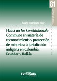 Hacia un lus Constitucionale Commune en materia de reconocimiento y protección de minorías: la jurisdicción indígena en Colombia, Ecuador y Bolivia (eBook, PDF)