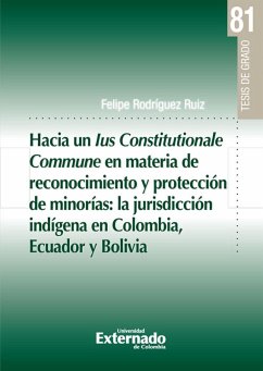 Hacia un lus Constitucionale Commune en materia de reconocimiento y protección de minorías: la jurisdicción indígena en Colombia, Ecuador y Bolivia (eBook, PDF) - Rodríguez Ruiz, Felipe