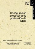 Configuración procesal de la pretensión de tutela (eBook, PDF)