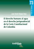 El derecho humano al agua en el derecho jurisprudencial de la Corte Constitucional de Colombia (eBook, PDF)