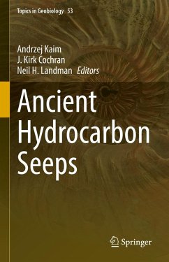 Ancient Hydrocarbon Seeps (eBook, PDF)