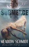 Submerge (eBook, ePUB) Submerge (eBook, ePUB)