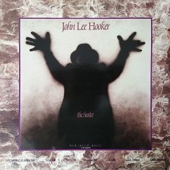 The Healer (Lp) - Hooker,John Lee