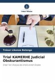 Trial KAMERHE Judicial Obskurantismus