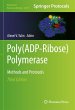 Poly(ADP-Ribose) Polymerase - Bild 1