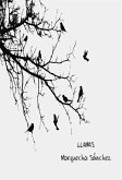 Llamas (eBook, ePUB)