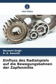 Einfluss des Radialspiels auf die Bewegungsbahnen der Zapfenmitte