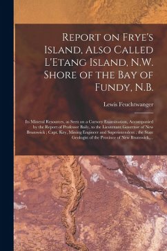 Report on Frye's Island, Also Called L'Etang Island, N.W. Shore of the Bay of Fundy, N.B. [microform]: Its Mineral Resources, as Seen on a Cursory Exa - Feuchtwanger, Lewis